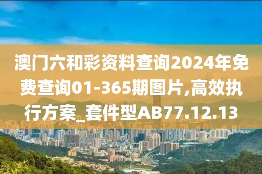 澳门六和彩资料查询2024年免费查询01-365期图片,高效执行方案_套件型AB77.12.13