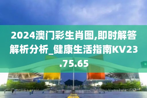 2024澳门彩生肖图,即时解答解析分析_健康生活指南KV23.75.65