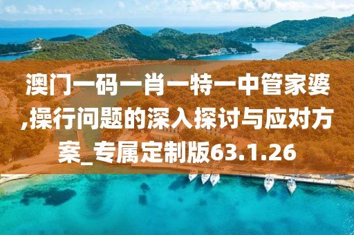 澳门一码一肖一特一中管家婆,操行问题的深入探讨与应对方案_专属定制版63.1.26
