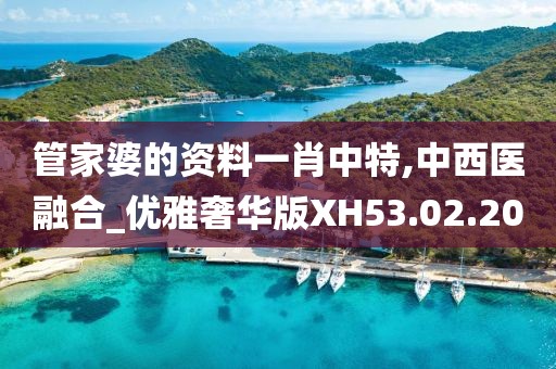 管家婆的资料一肖中特,中西医融合_优雅奢华版XH53.02.20