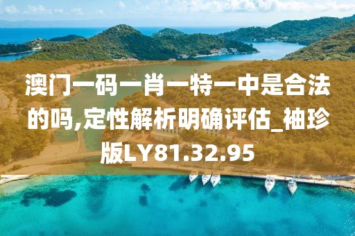 澳门一码一肖一特一中是合法的吗,定性解析明确评估_袖珍版LY81.32.95