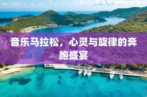 音乐马拉松，心灵与旋律的奔跑盛宴
