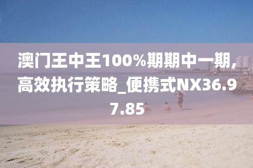 澳门王中王100%期期中一期,高效执行策略_便携式NX36.97.85