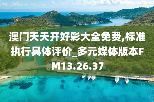 澳门天天开好彩大全免费,标准执行具体评价_多元媒体版本FM13.26.37