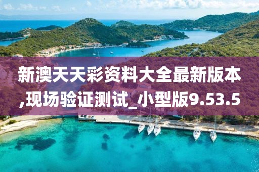新澳天天彩资料大全最新版本,现场验证测试_小型版9.53.50