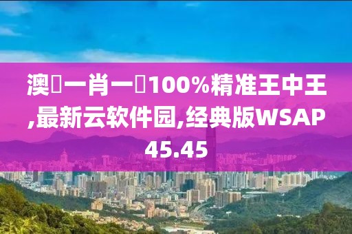 澳門一肖一碼100%精准王中王,最新云软件园,经典版WSAP45.45
