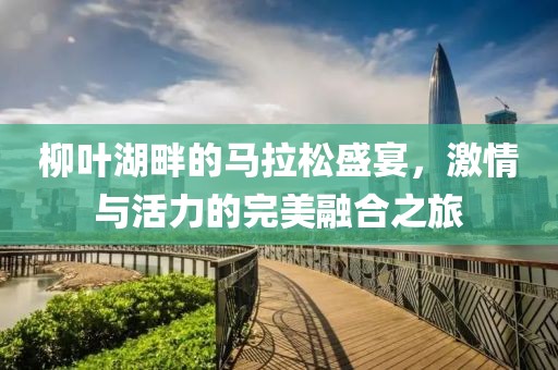 柳叶湖畔的马拉松盛宴，激情与活力的完美融合之旅