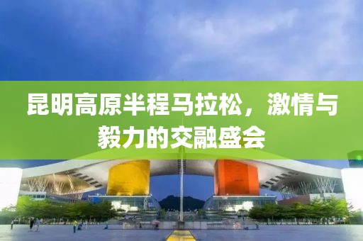 昆明高原半程马拉松，激情与毅力的交融盛会