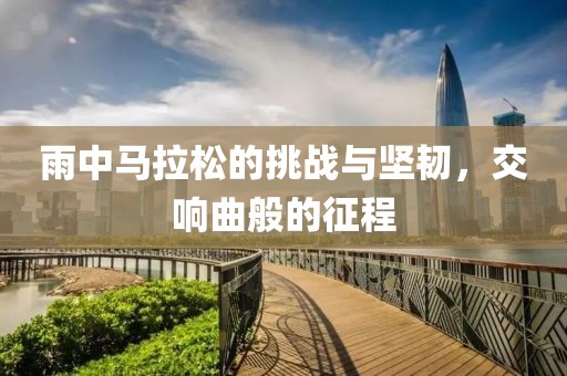 雨中马拉松的挑战与坚韧，交响曲般的征程