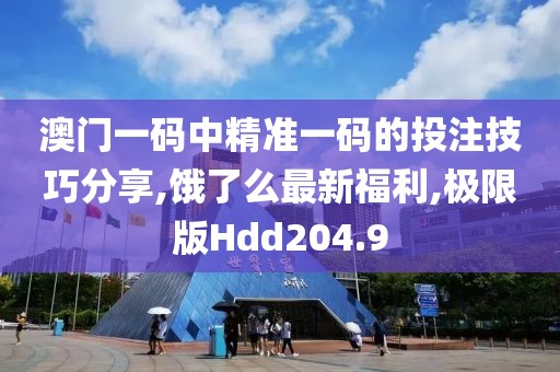 澳门一码中精准一码的投注技巧分享,饿了么最新福利,极限版Hdd204.9