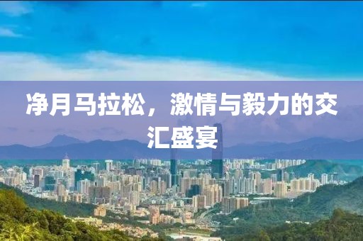 净月马拉松，激情与毅力的交汇盛宴