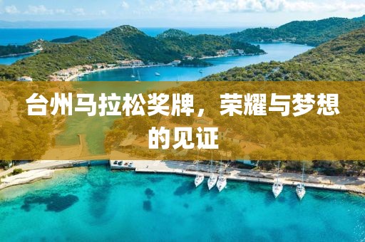 台州马拉松奖牌，荣耀与梦想的见证