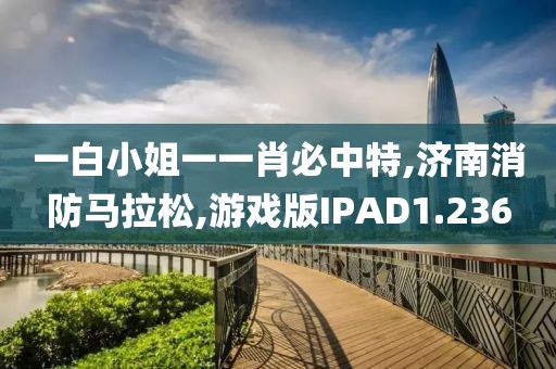一白小姐一一肖必中特,济南消防马拉松,游戏版IPAD1.236