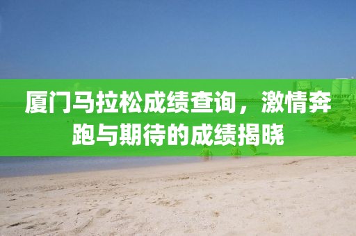厦门马拉松成绩查询，激情奔跑与期待的成绩揭晓