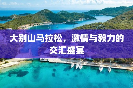 大别山马拉松，激情与毅力的交汇盛宴
