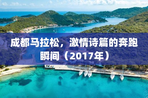 成都马拉松，激情诗篇的奔跑瞬间（2017年）