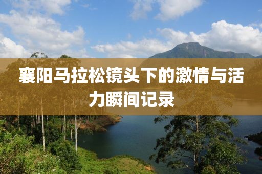 襄阳马拉松镜头下的激情与活力瞬间记录