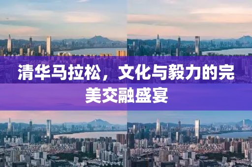 清华马拉松，文化与毅力的完美交融盛宴
