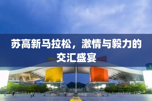 苏高新马拉松，激情与毅力的交汇盛宴