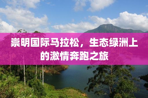 崇明国际马拉松，生态绿洲上的激情奔跑之旅