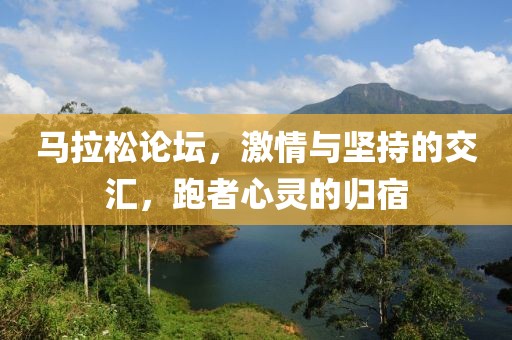 马拉松论坛，激情与坚持的交汇，跑者心灵的归宿