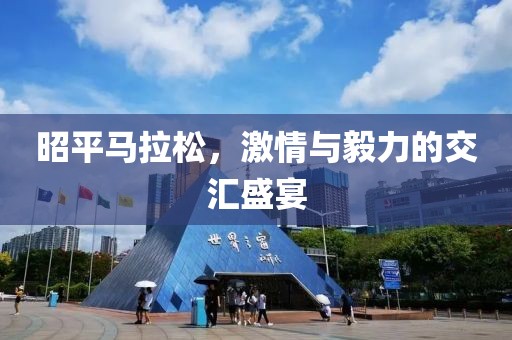 昭平马拉松，激情与毅力的交汇盛宴