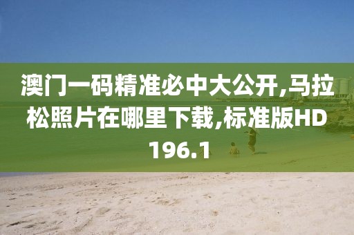 澳门一码精准必中大公开,马拉松照片在哪里下载,标准版HD196.1