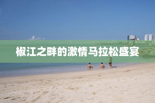 椒江之畔的激情马拉松盛宴