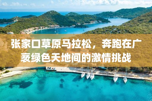 张家口草原马拉松，奔跑在广袤绿色天地间的激情挑战