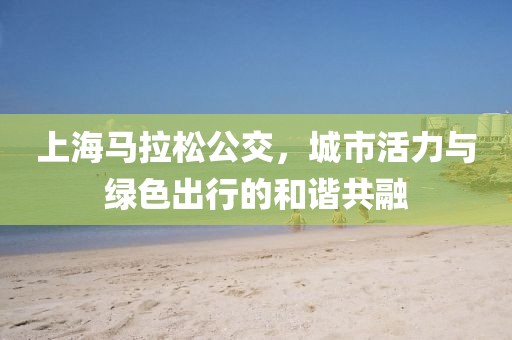 上海马拉松公交，城市活力与绿色出行的和谐共融