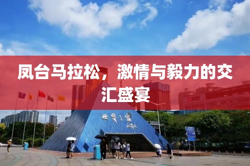 凤台马拉松，激情与毅力的交汇盛宴