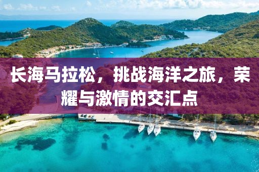 长海马拉松，挑战海洋之旅，荣耀与激情的交汇点