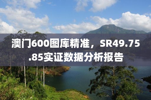 澳门600图库精准，SR49.75.85实证数据分析报告