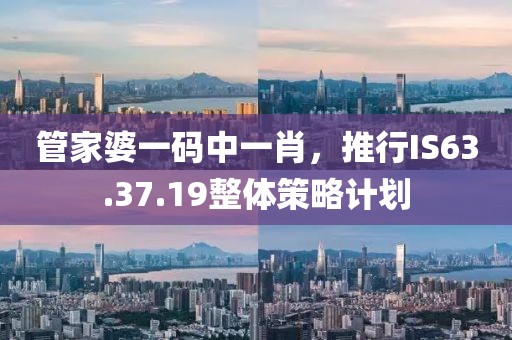 2024年12月 第446页