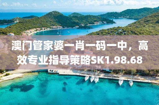 澳门管家婆一肖一码一中，高效专业指导策略SK1.98.68