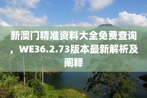 新澳门精准资料大全免费查询，WE36.2.73版本最新解析及阐释