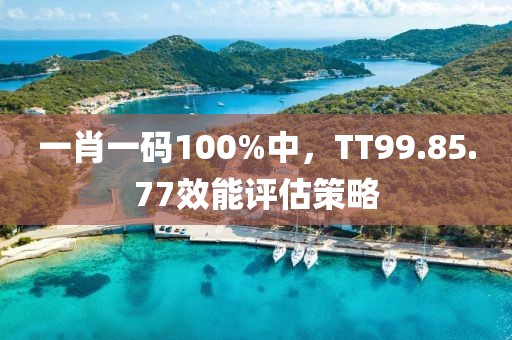一肖一码100%中，TT99.85.77效能评估策略