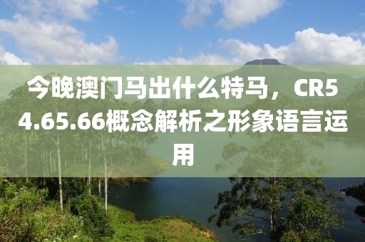 今晚澳门马出什么特马，CR54.65.66概念解析之形象语言运用