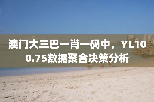 澳门大三巴一肖一码中，YL100.75数据聚合决策分析