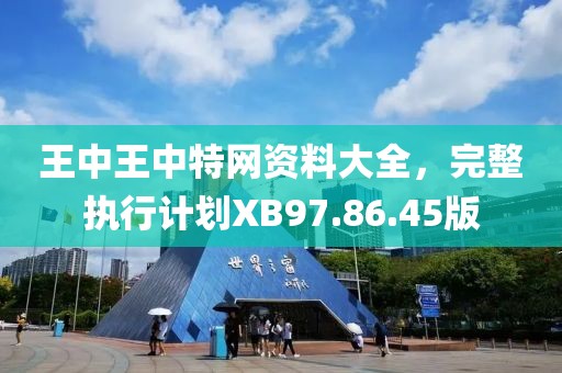 王中王中特网资料大全，完整执行计划XB97.86.45版
