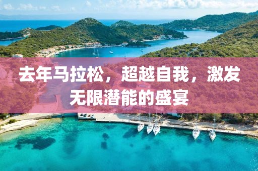 去年马拉松，超越自我，激发无限潜能的盛宴