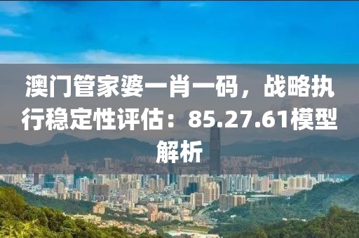澳门管家婆一肖一码，战略执行稳定性评估：85.27.61模型解析