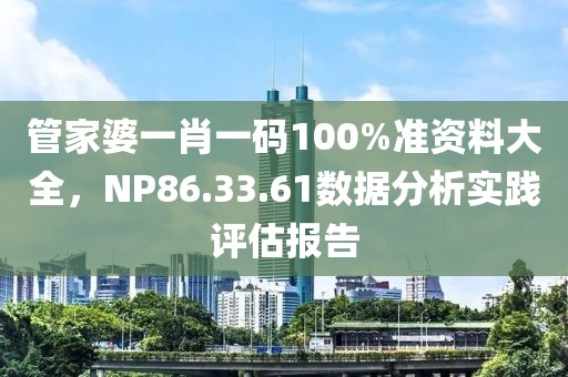 管家婆一肖一码100%准资料大全，NP86.33.61数据分析实践评估报告