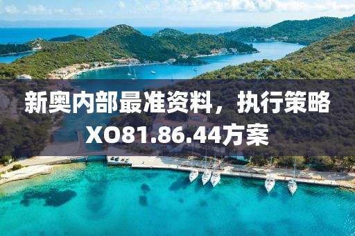 新奥内部最准资料，执行策略XO81.86.44方案