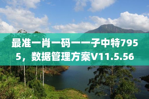 最准一肖一码一一子中特7955，数据管理方案V11.5.56