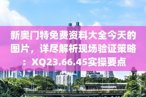 新奥门特免费资料大全今天的图片，详尽解析现场验证策略：XQ23.66.45实操要点