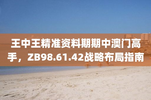 王中王精准资料期期中澳门高手，ZB98.61.42战略布局指南