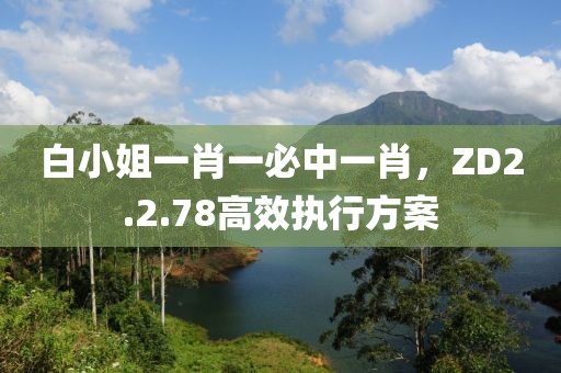白小姐一肖一必中一肖，ZD2.2.78高效执行方案