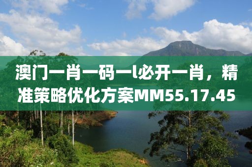 澳门一肖一码一l必开一肖，精准策略优化方案MM55.17.45