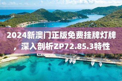 2024新澳门正版免费挂牌灯牌，深入剖析ZP72.85.3特性